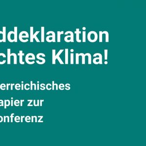 Jugenddeklaration – Gerechtes Klima!